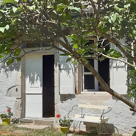 Chez Mialaret Bed & Breakfast Tourniac Luaran gambar